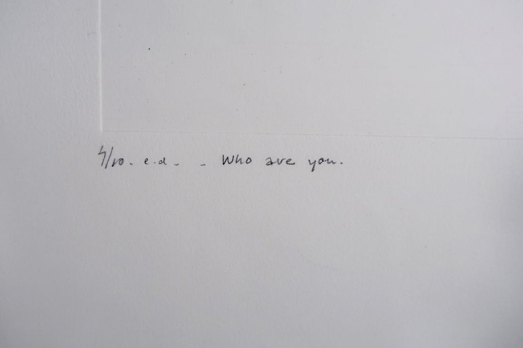 Maaike Alma: Droge Naald, Who are you kopen? Bied vanaf 1!