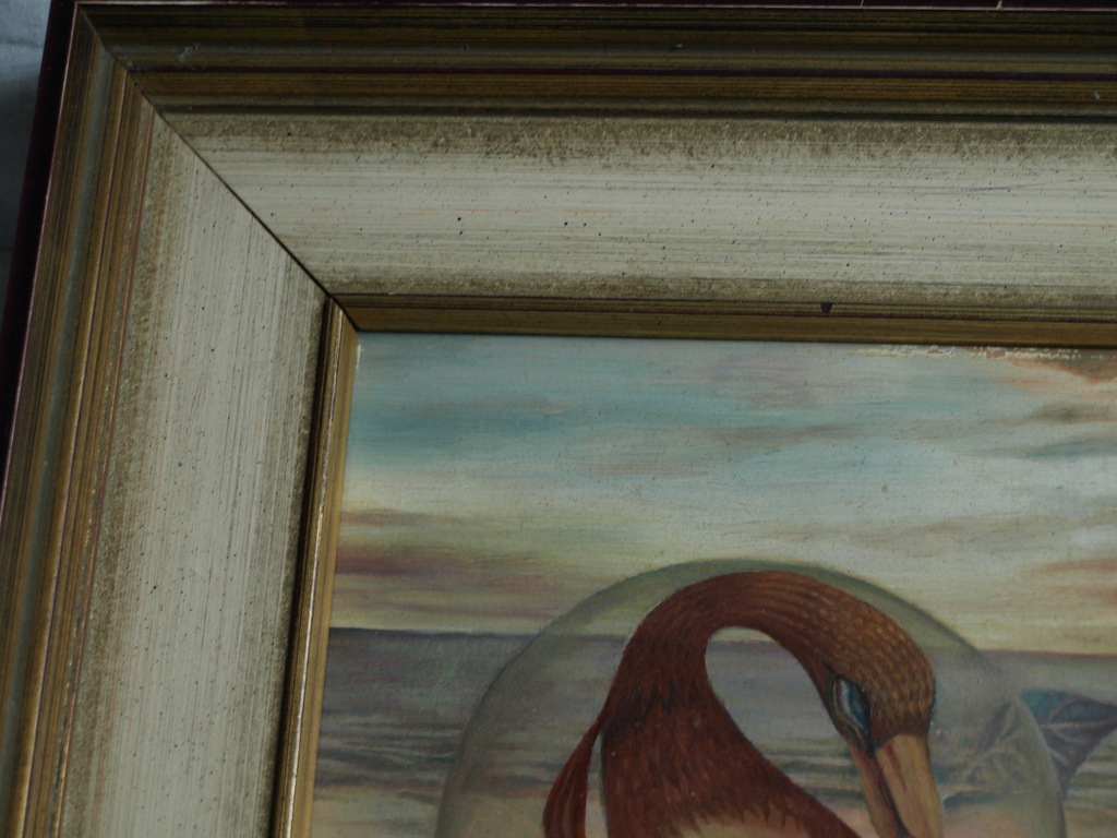 Judith Vermeeren-Neet : Olieverf op paneel, Vogel – gesigneerd & ingelijst -1975 kopen? Bied vanaf 1!