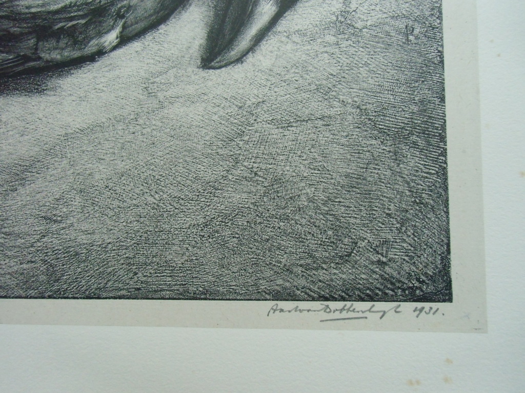 DOODE KRAAI   ///   LITHO/CHINE COLLÉ VAN AART VAN DOBBENBURGH kopen? Bied vanaf 40!