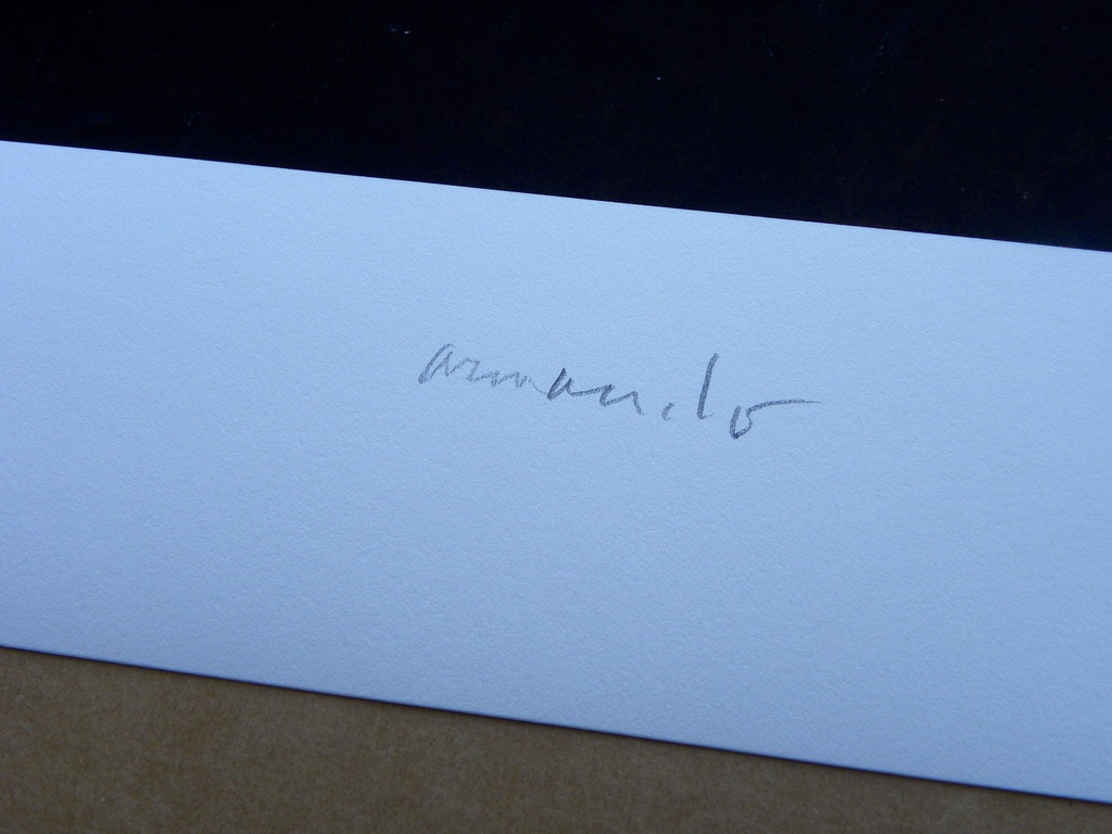 'Landschaft' - Giclee - Gesigneerd en Genummerd met de hand - 2016 kopen? Bied vanaf 125!
