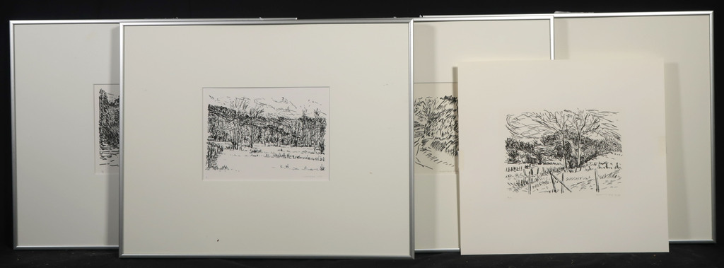 Lot met 5 Zeefdrukken van Annette Ong: Wandeltochten III - 4x Ingelijst kopen? Bied vanaf 20!