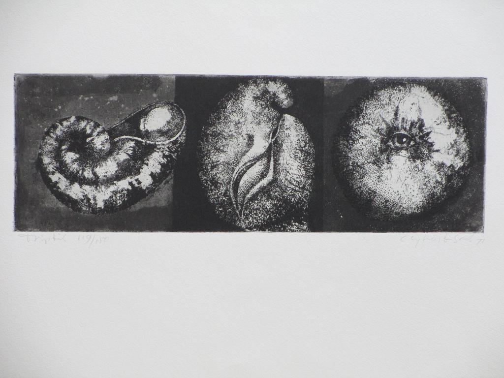 Clary Mastenbroek, Triptik, Ets 1971 kopen? Bied vanaf 45!