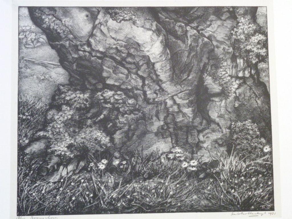 Aart van Dobbenburgh - litho - Boomschors verkocht voor € 40!