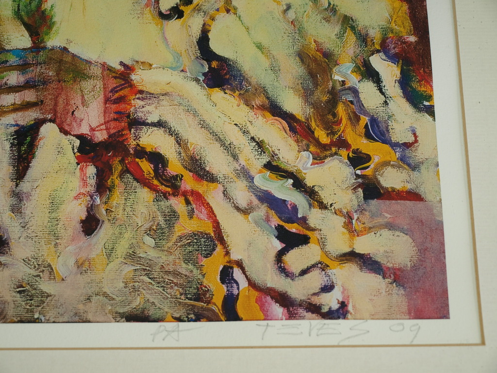 Alejandro Teves – Gesigneerde artprint – Anto – Ingelijst - 2009 kopen? Bied vanaf 1!