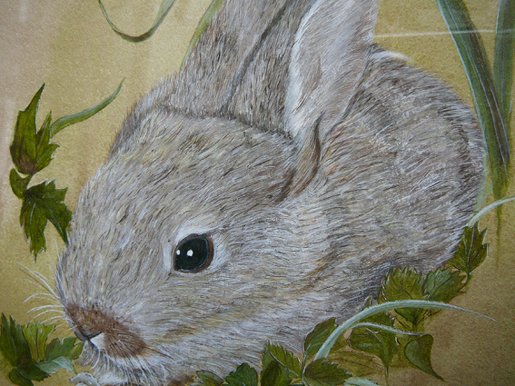 H. Brierley: Rabbit in the Wood -aquarel- kopen? Bied vanaf 25!