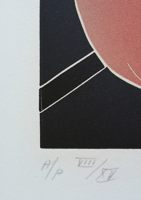 Thom de Jong - Watching the Olympics, aquatint ets kopen? Bied vanaf 30!