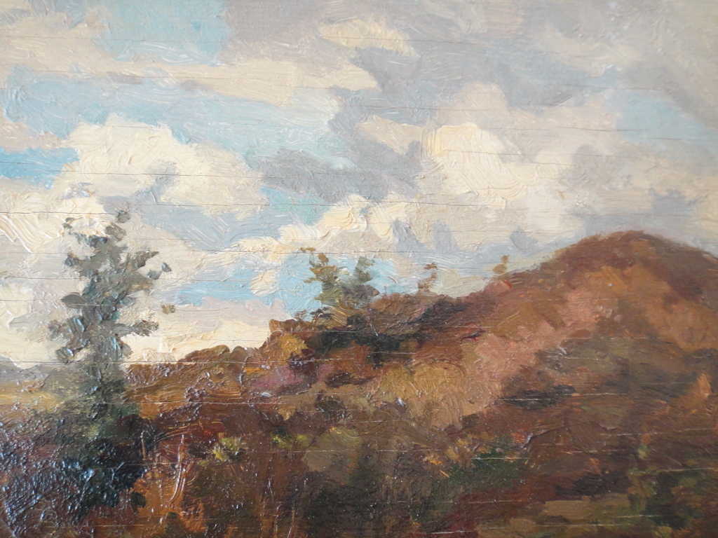 Leonard Pieter Versteeg, olieverf op doek, heidelandschap met bloeiende brem kopen? Bied vanaf 1!