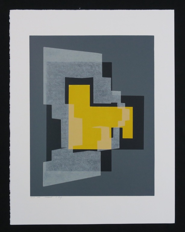 Lot met 5 linosnedes van Corrie Kuijs: Lichtbeeld en Schaduwbeeld (4 x) kopen? Bied vanaf 1!