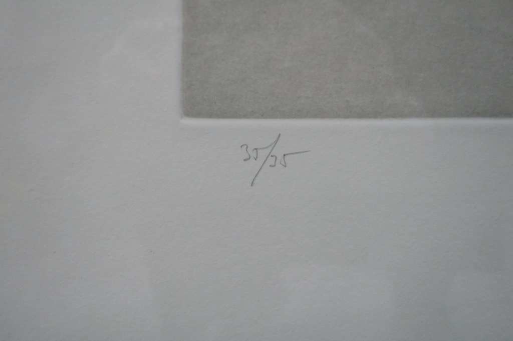 Juan Pijuan Hernandez: Droge Naald, Hojas - Ingelijst kopen? Bied vanaf 40!