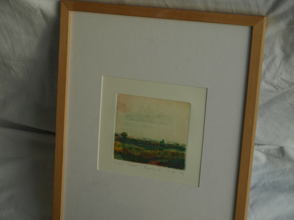 Wendelien Schönfeld : Kleurenets –Braakland III – gesigneerd & ingelijst - 1978  kopen? Bied vanaf 1!