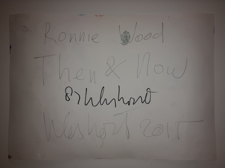 Peter Klashorst - gemengde techniek op aquarel papier - Ronnie Wood then & now kopen? Bied vanaf 70!