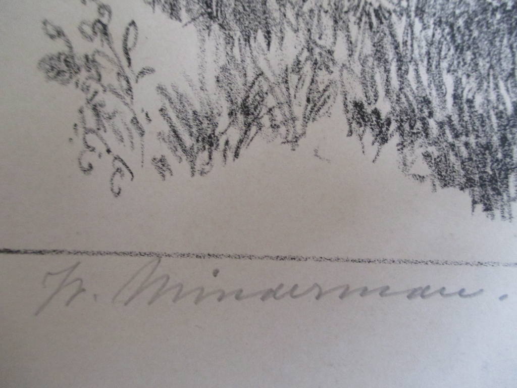 Willem Minderman, litho "Canne" kopen? Bied vanaf 1!