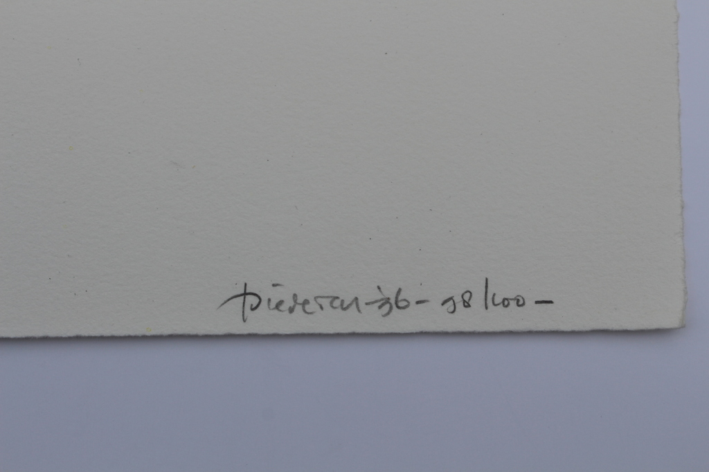 Jef Diederen (1920-2009)- gesigneerd litho - opl. 100 ex. -1996 -galerie Schoots kopen? Bied vanaf 30!