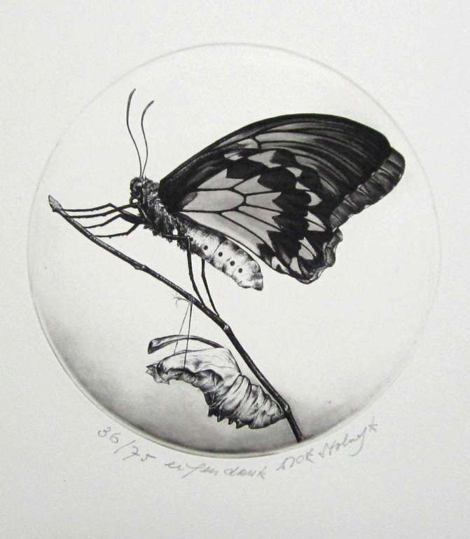 Dick Stolwijk, ets kopen? Bied vanaf 1!