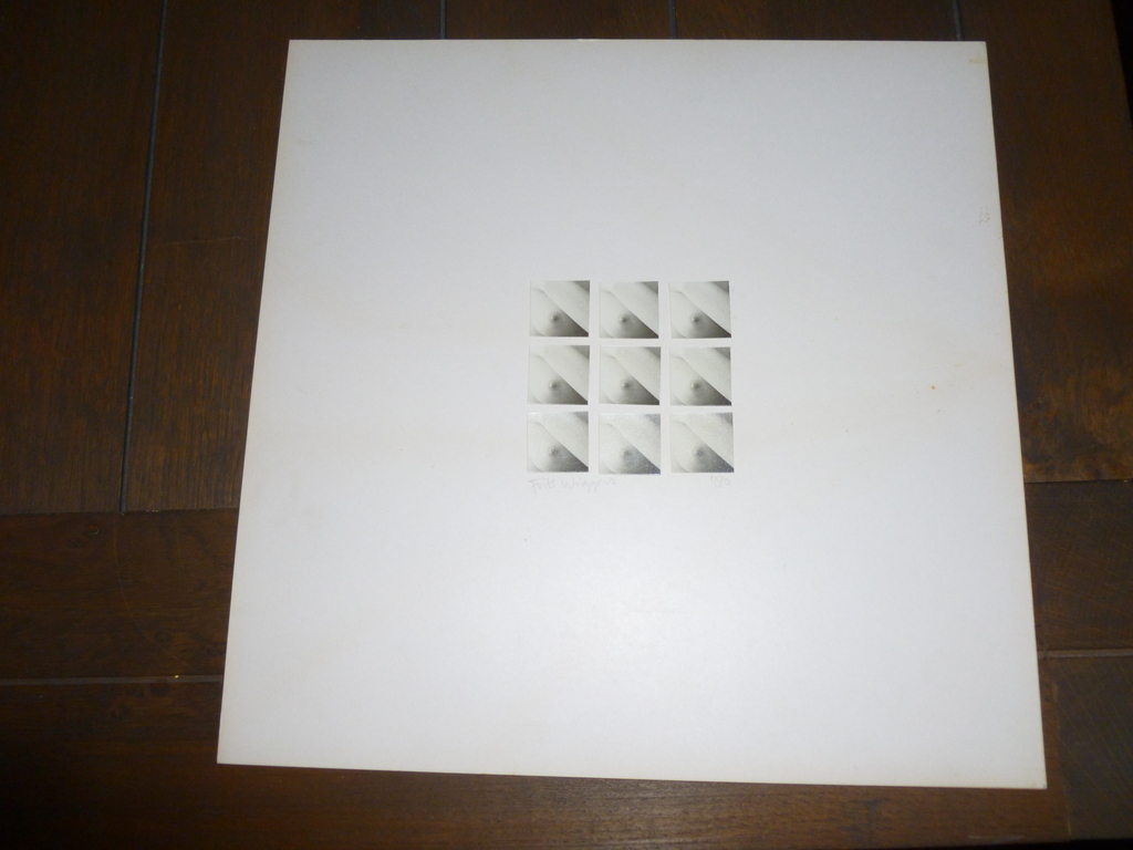 Tof werk van Frits Wiggers (Den Haag 1945).Foto-papiercollage. kopen? Bied vanaf 12!