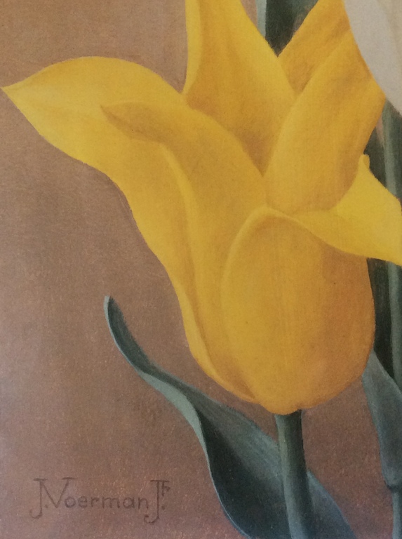 Jan Voerman Jr  Tulpen  Litho/Druk ingelijst 36 x 49 cm kopen? Bied vanaf 35!