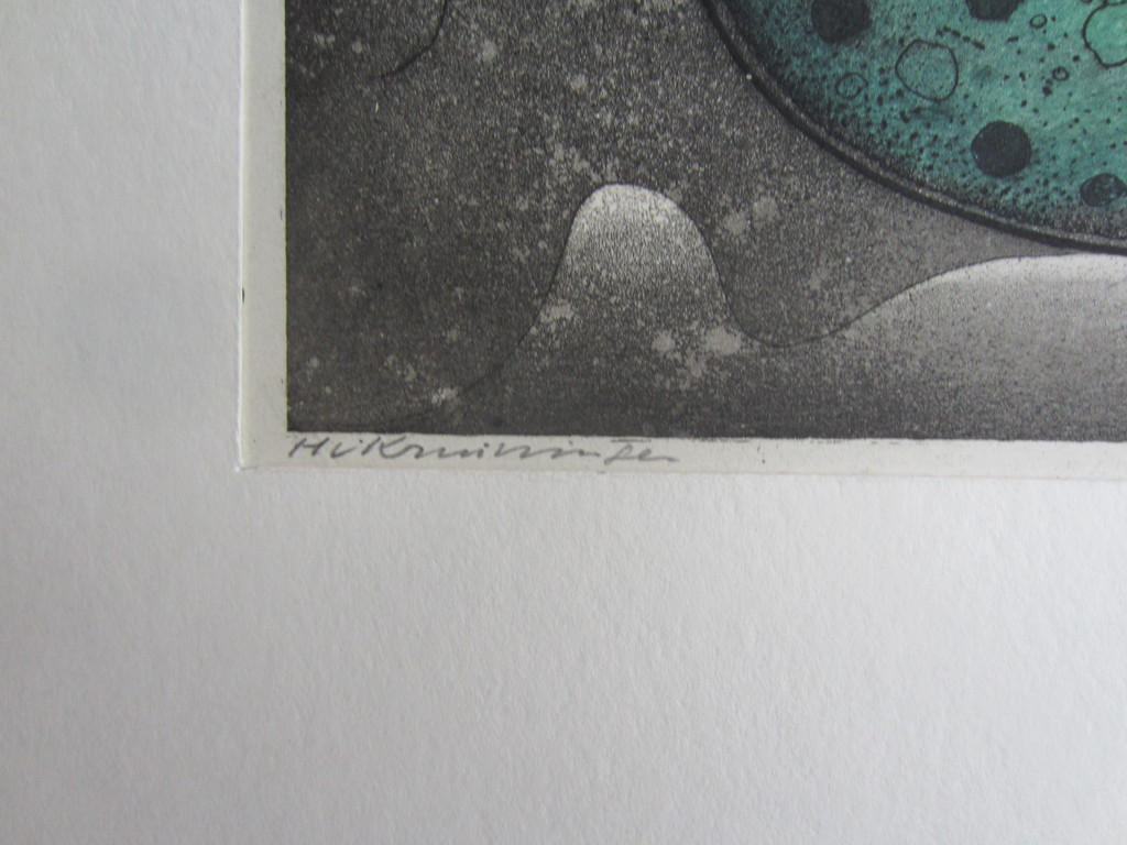 HARRY VAN KRUININGEN KLEURENETS kopen? Bied vanaf 50!