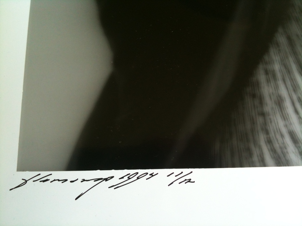 Paul Blanca, foto, Flamenco kopen? Bied vanaf 150!