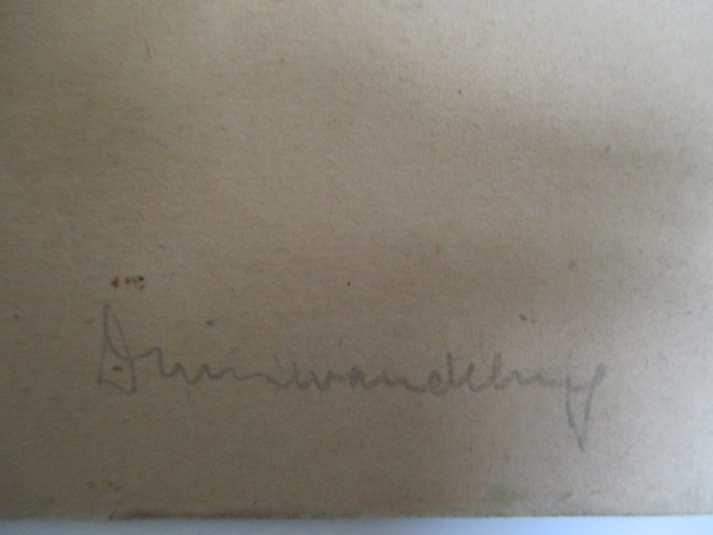 LAATSTE KEER Piet Franz, inkttekening, duinwandeling kopen? Bied vanaf 15!