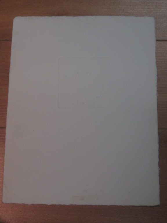 Ella van Schaik (1940-) karakteristieke ets "poes onder kleed" gesigneerd kopen? Bied vanaf 1!