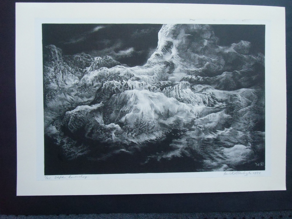 ELFDE LANDSCHAP   ///   LITHO VAN AART VAN DOBBENBURGH kopen? Bied vanaf 40!