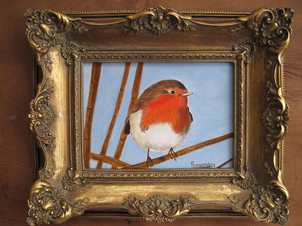 Sylvia van de Water: olieverf op paneel, Roodborstje kopen? Bied vanaf 60!