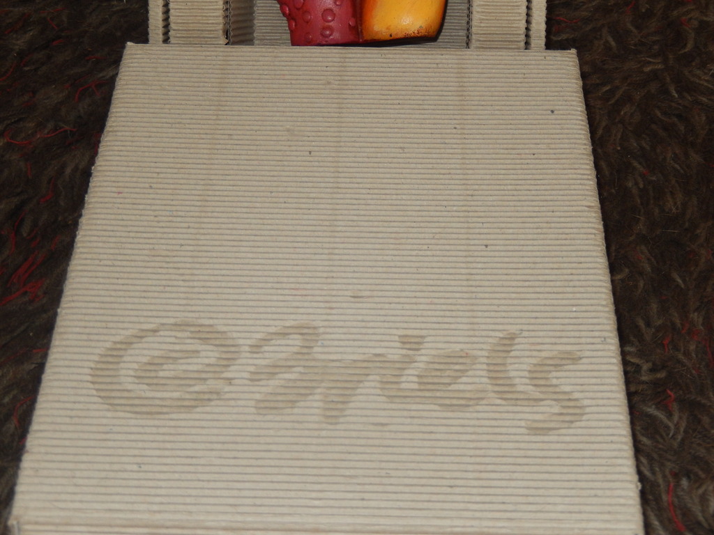 Clemens Briels 'El Pintor' kopen? Bied vanaf 145!