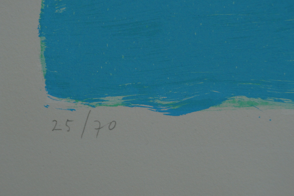 Dolf Verlinden - gesigneerde zeefdruk - 2001 kopen? Bied vanaf 25!