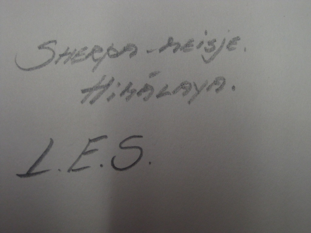 Bijzonder! Orig. Aquarel "Tibetaans Sherpa-meisje" van Ned Ind. portrettekenares kopen? Bied vanaf 1!