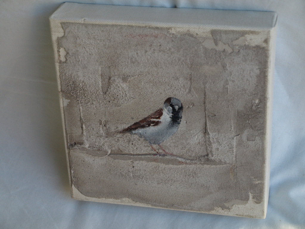 Jan Grotenbreg : Acrylverf en cement op doek , Huismus – gesigneerd – ca 2005 kopen? Bied vanaf 125!