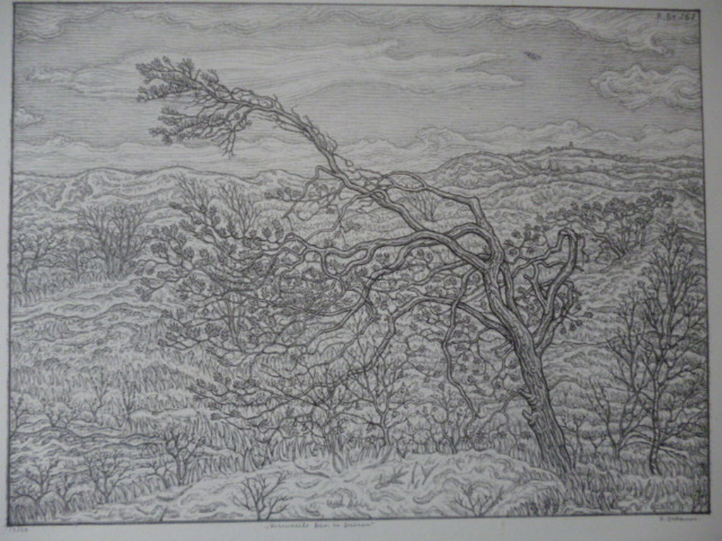 Rudolf Bremmer - litho - Verwaaide den in duinen verkocht voor € 40!