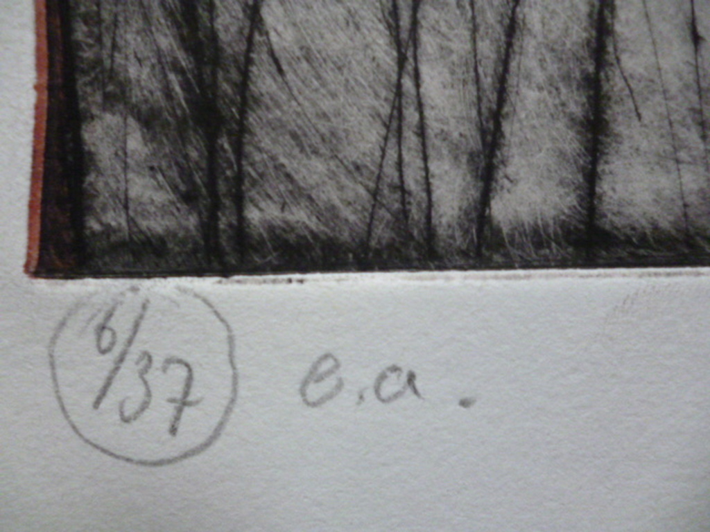 Werner Moonen - kleurenets - Het Huis Ten Eind kopen? Bied vanaf 150!