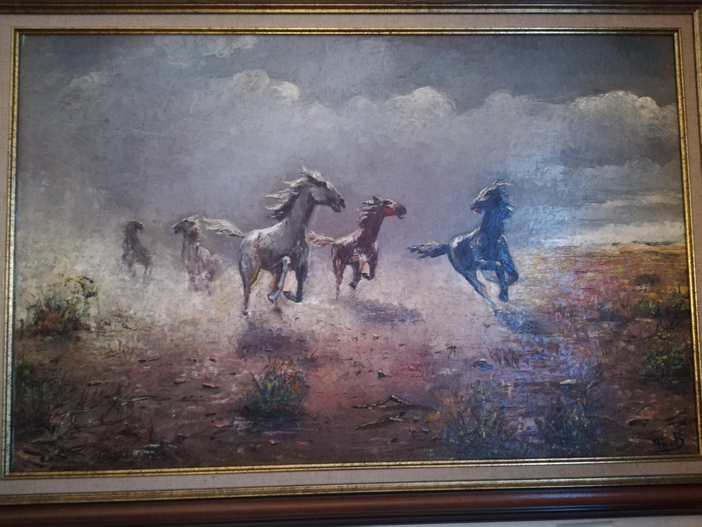 Paarden kopen? Bied vanaf 200!