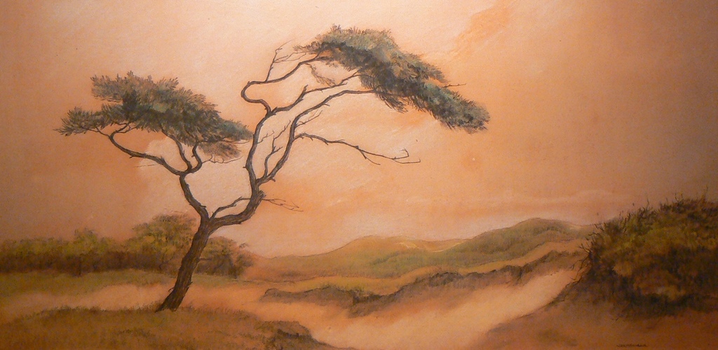 Jan Kagie jr (1907-1991)  --  pasteltekening  --  Duinlandschap kopen? Bied vanaf 40!