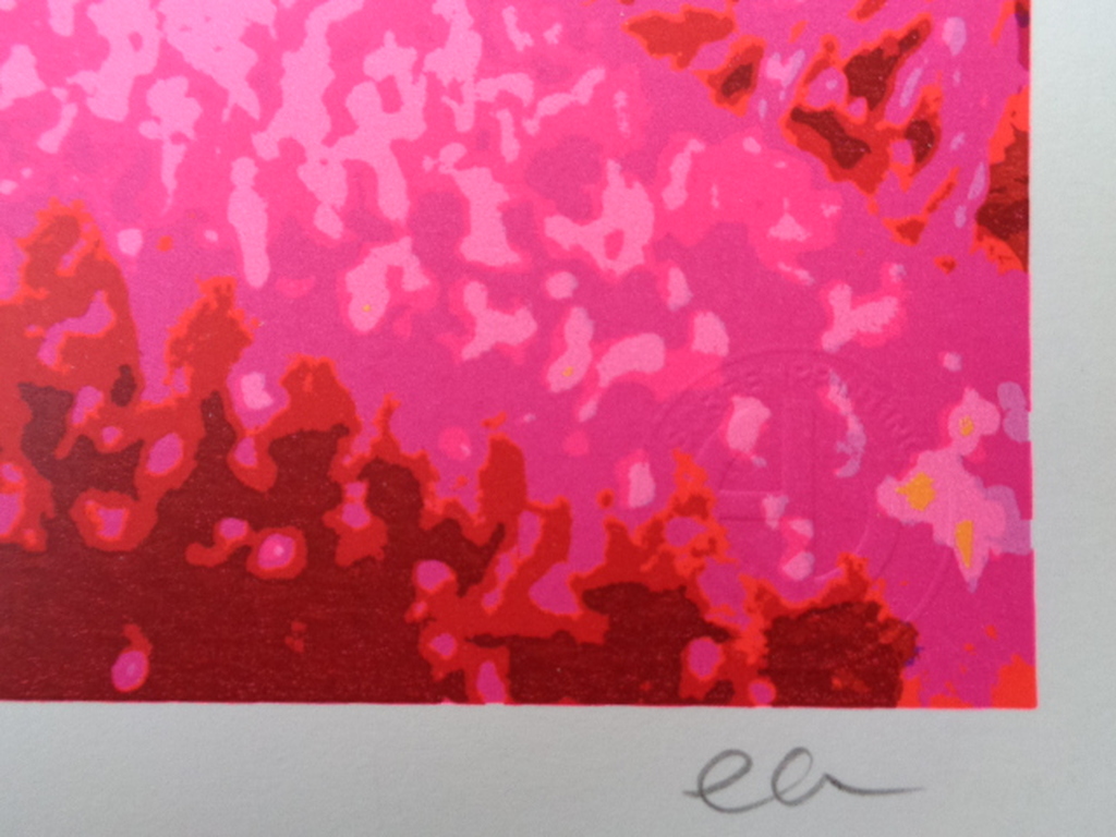 Henk van der Vet, HANDGESIGNEERDE Zeefdruk MADONNA kopen? Bied vanaf 14!