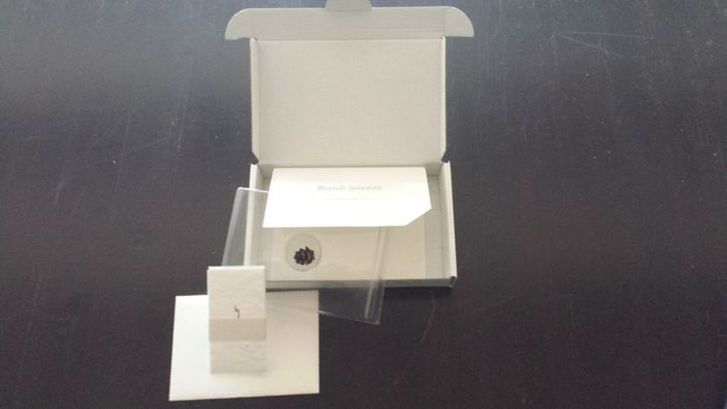 Brandt Junceau, Guido Schmidt, Rob Kaptein kopen? Bied vanaf 1!