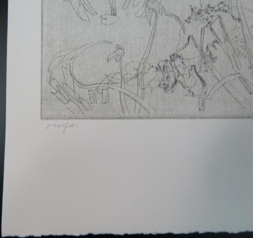 Charles Donker: Ets, Plantenstudie kopen? Bied vanaf 100!