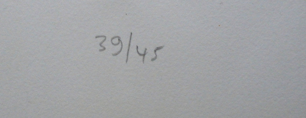 Toyin Loye - zeefdruk - 1997 kopen? Bied vanaf 75!