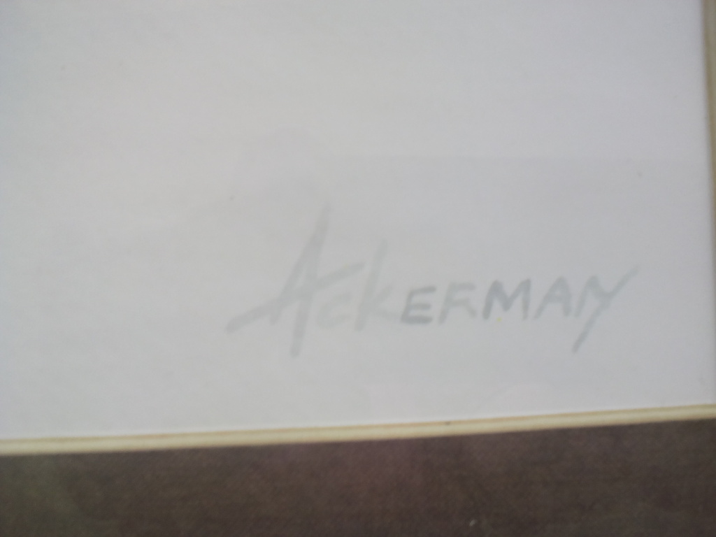 Ackeman Auqaurel boederij kopen? Bied vanaf 50!