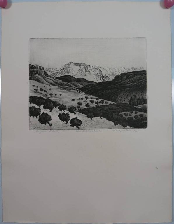 Dick Stolwijk: Ets, Andalucia kopen? Bied vanaf 35!