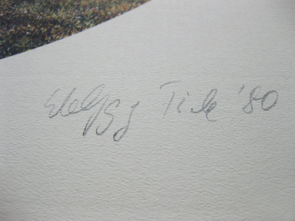 Wolfgang Fröde - "Baum" - Seriegrafie, 1980 (Handgesigneerd) kopen? Bied vanaf 45!