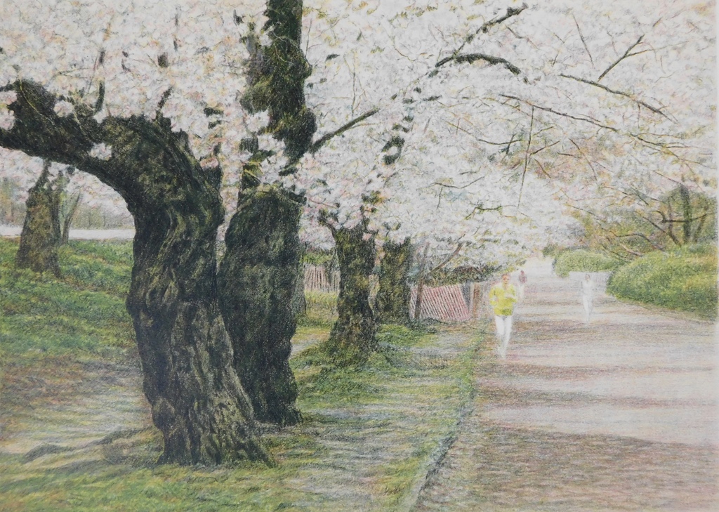 Harold Altman - Kleurenlitho - Blossom kopen? Bied vanaf 40!