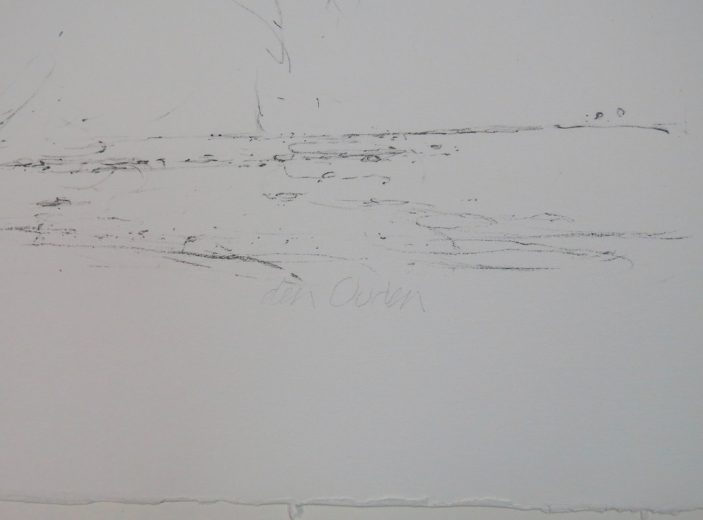 Willem den Ouden: Litho, Z.T. kopen? Bied vanaf 20!