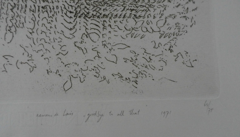 Jaap Hillenius - Litho -  kopen? Bied vanaf 35!