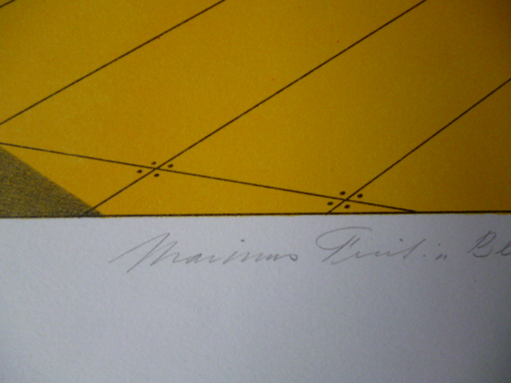 Marinus Fuit - litho/zeefdruk -  Blauw-witte ballonnen tegen plankier kopen? Bied vanaf 90!