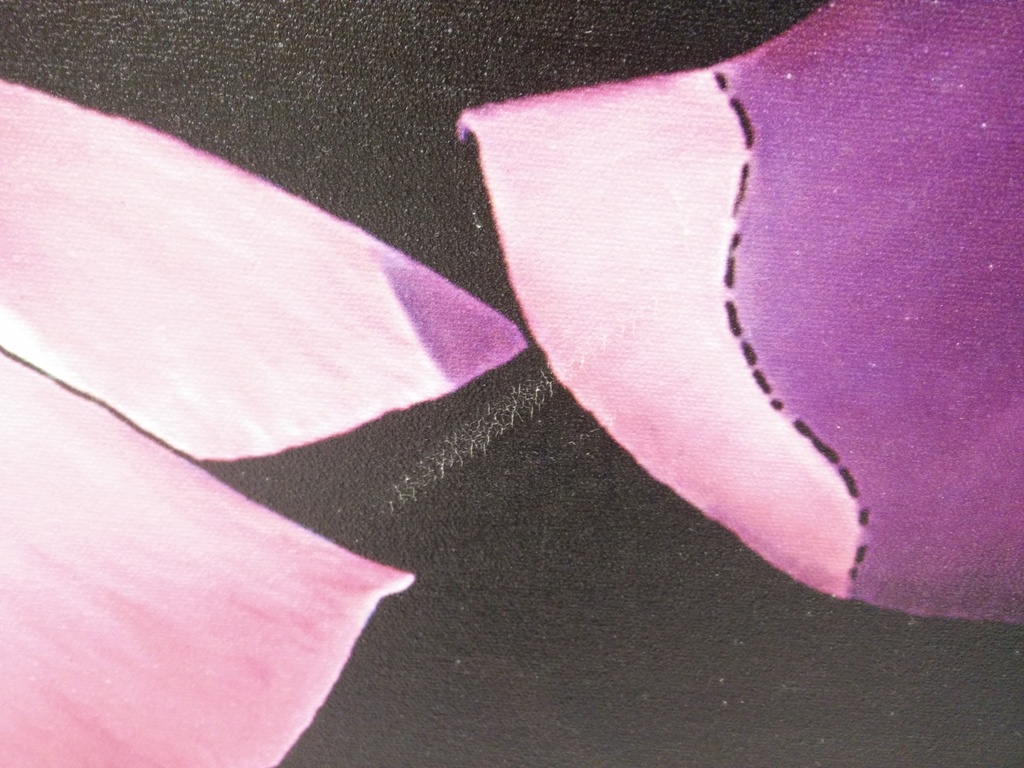 Toon van Driel: Giclee, Vlinder - Ingelijst kopen? Bied vanaf 1!