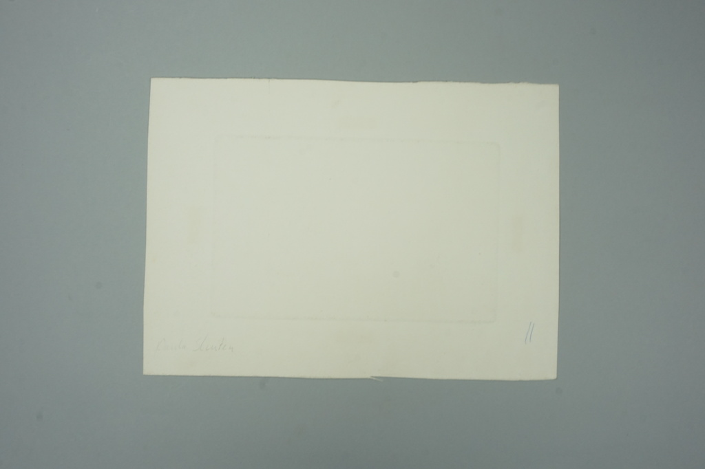 Paula Sluiter - ets - bloemen in gele inkt  kopen? Bied vanaf 10!