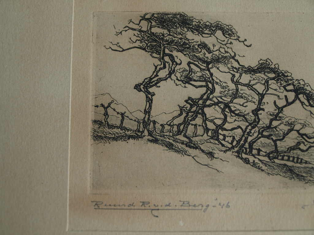 Ruurd van den Berg : Ets , Meijendel – gesigneerd & ingelijst - 1946  kopen? Bied vanaf 1!