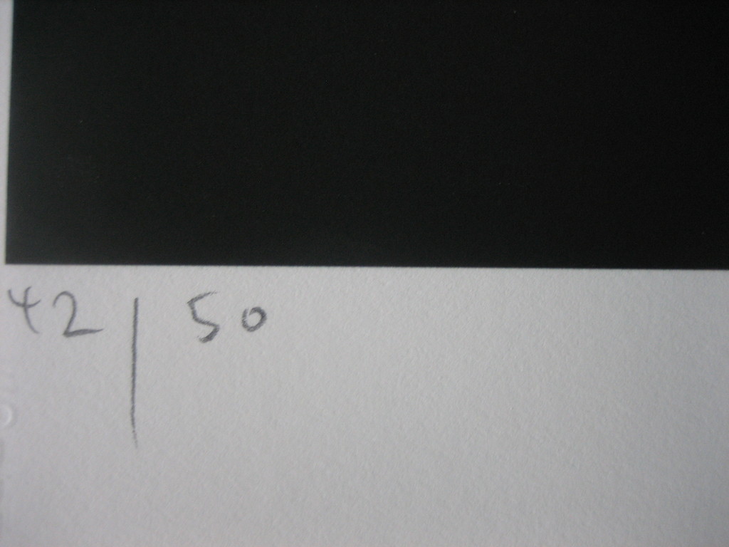 Willi Kissmer - Schwarzes Kleid - Giclee - Handgesigneerd - 2016 kopen? Bied vanaf 85!