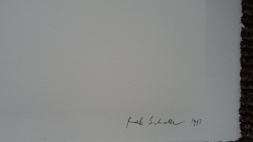 Robe Scholte: Polkadot kopen? Bied vanaf 145!